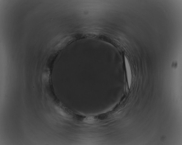 X0000092250231200710051305