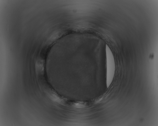 X0000092250232200710051305