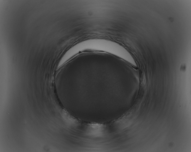 X0000092250233200710051305