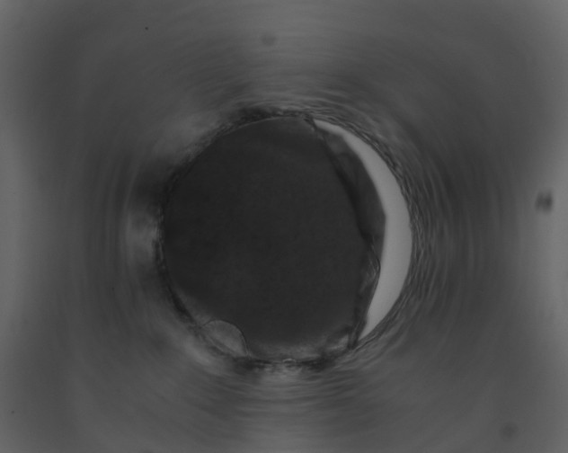 X0000092250235200710051305