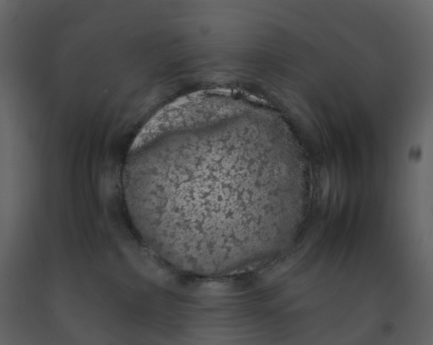 X0000092250236200710051305
