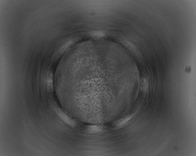 X0000092250238200710051305