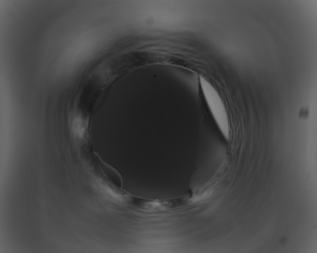 X0000092250239200710051305