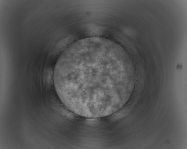 X0000092250240200710051305