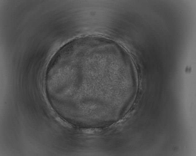 X0000092250241200710051305