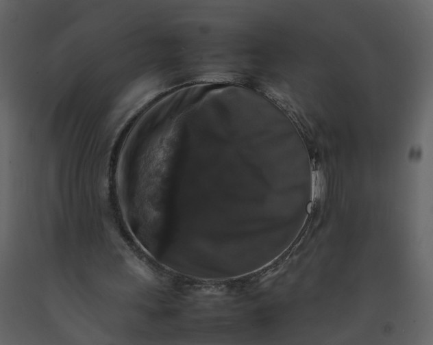 X0000092250243200710051305