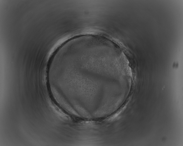 X0000092250244200710051305