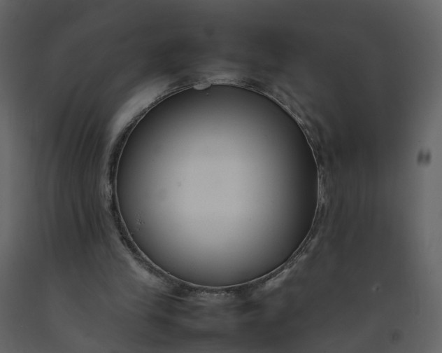 X0000092250245200710051305