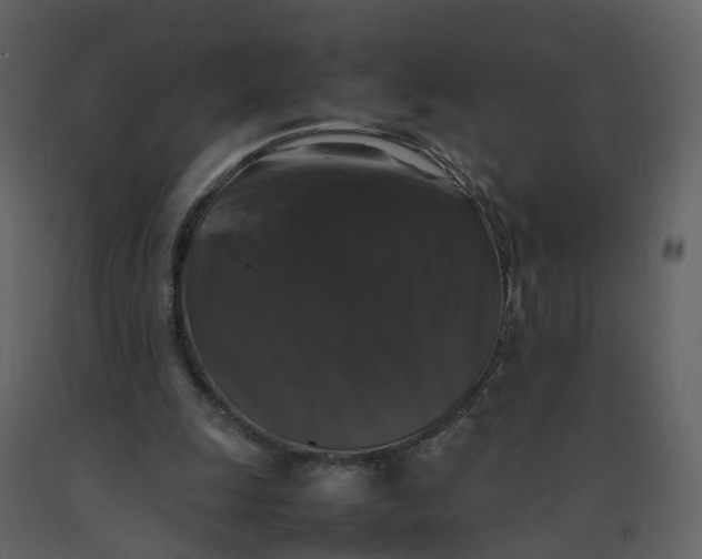 X0000092250247200710051305