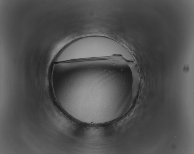 X0000092250248200710051305