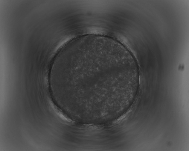 X0000092250249200710051305
