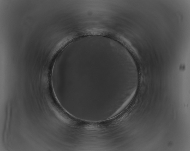 X0000092250250200710051305