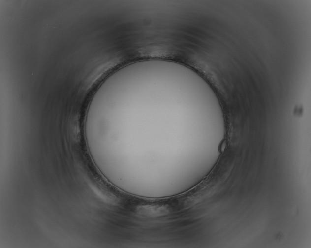 X0000092250251200710051305