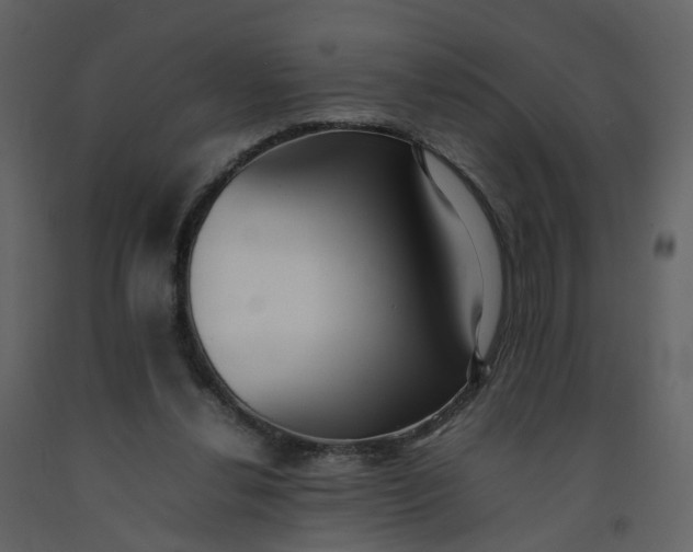X0000092250252200710051305