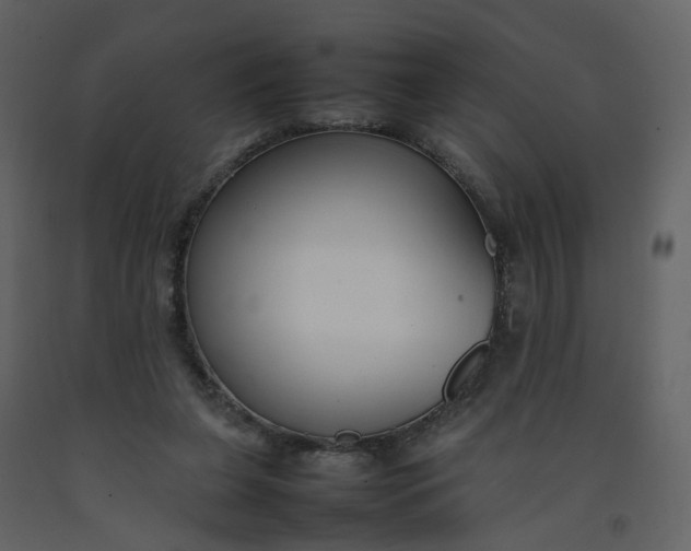 X0000092250255200710051305