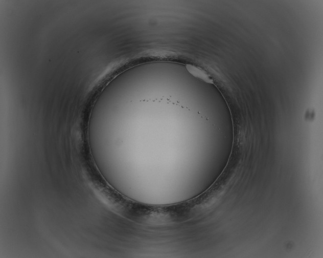 X0000092250256200710051305