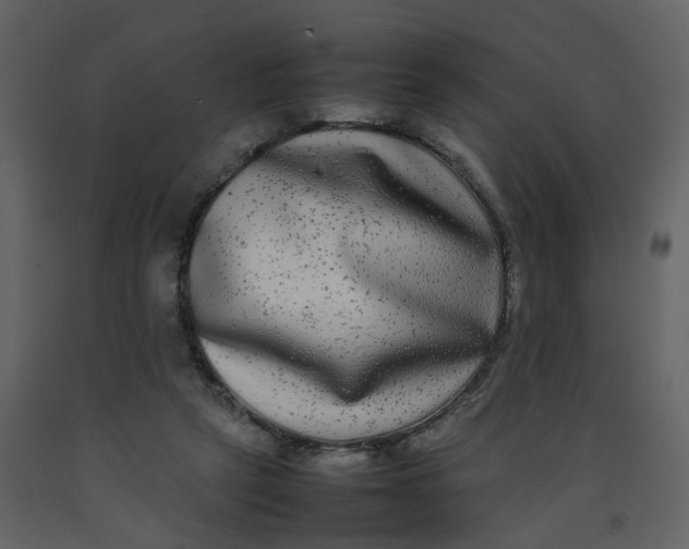 X0000092250257200710051305