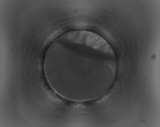 X0000092250258200710051305