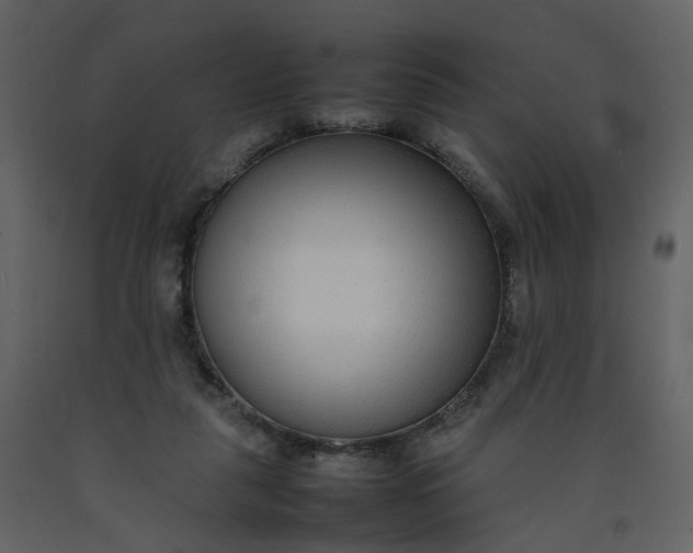 X0000092250259200710051305