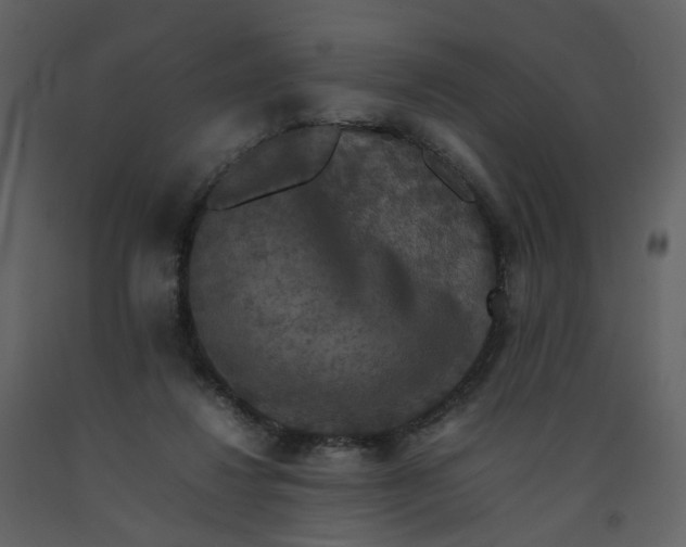 X0000092250260200710051305