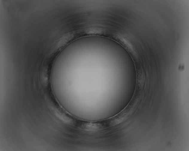 X0000092250261200710051305