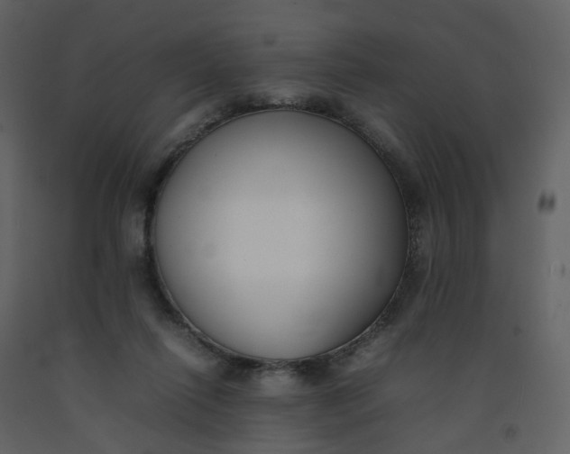 X0000092250262200710051305