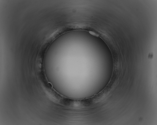 X0000092250264200710051305