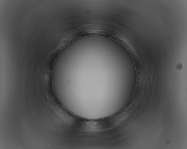 X0000092250265200710051305