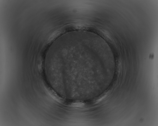 X0000092250266200710051305