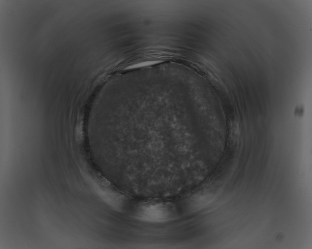 X0000092250267200710051305