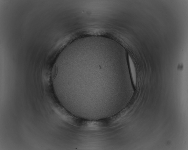 X0000092250268200710051305