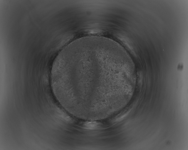 X0000092250269200710051305