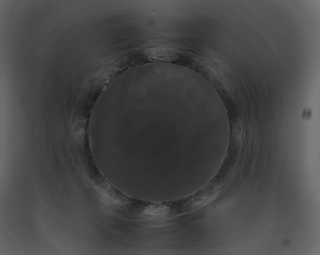 X0000092250271200710051305