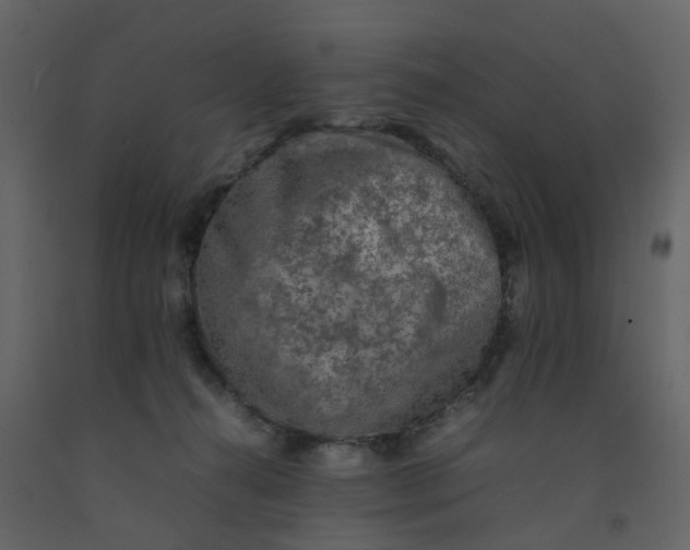 X0000092250272200710051305