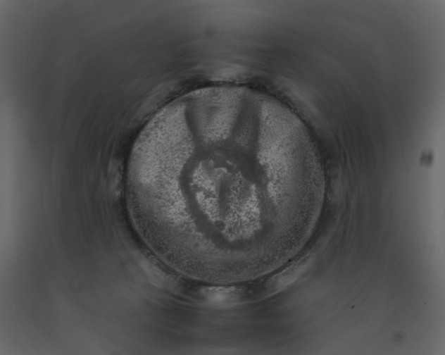 X0000092250273200710051305