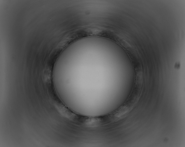 X0000092250274200710051305