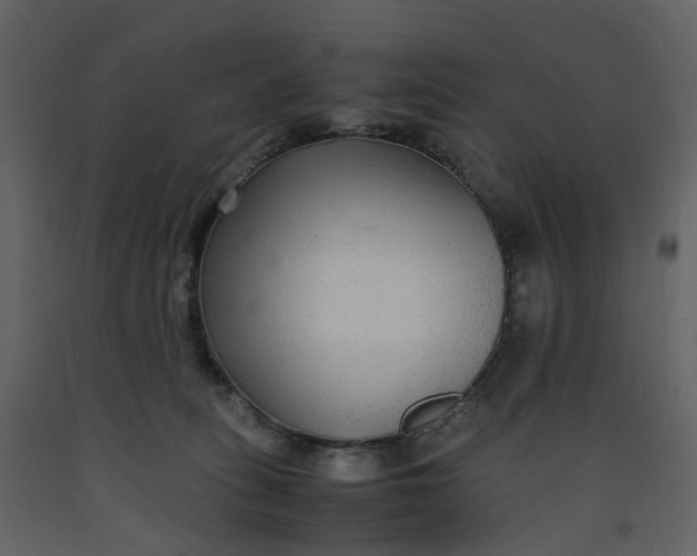 X0000092250275200710051305