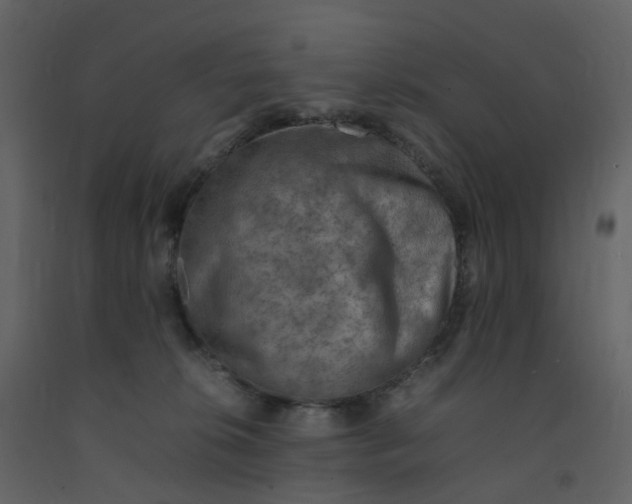 X0000092250276200710051305