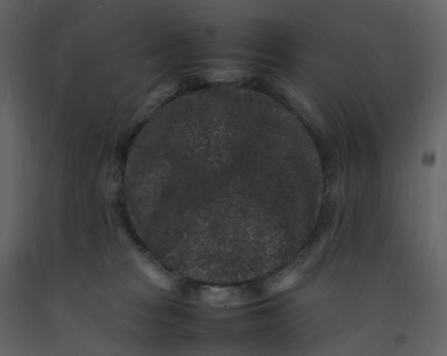 X0000092250277200710051305