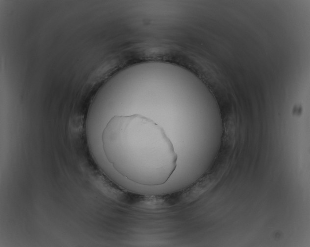 X0000092250278200710051305