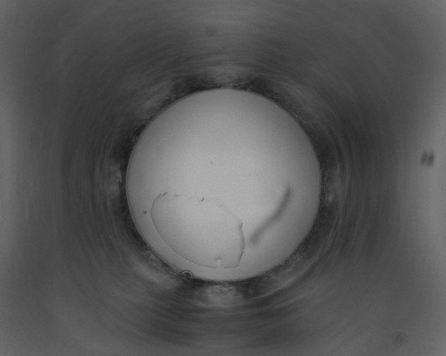X0000092250279200710051305