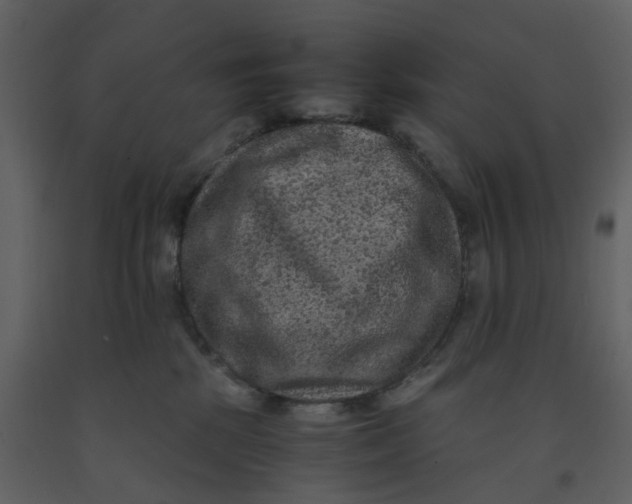X0000092250281200710051305