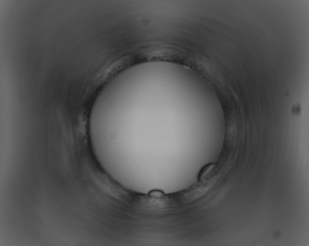 X0000092250282200710051305