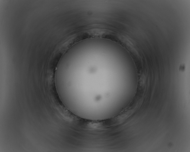 X0000092250283200710051305