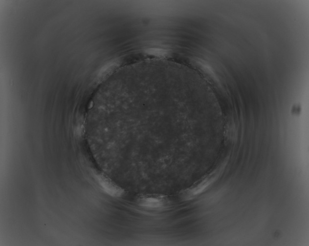 X0000092250285200710051305