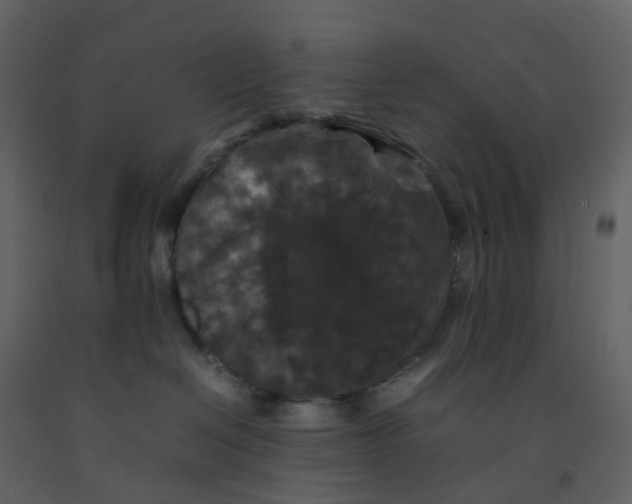 X0000092250286200710051305