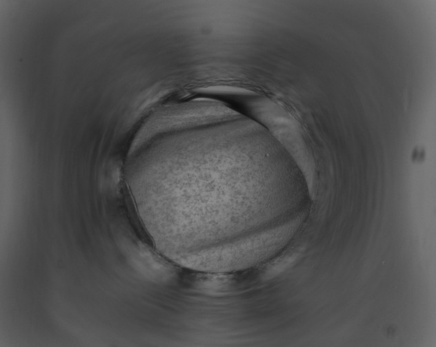 X0000092250288200710051305