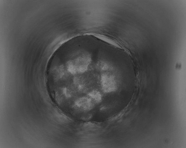 X0000092250290200710051305