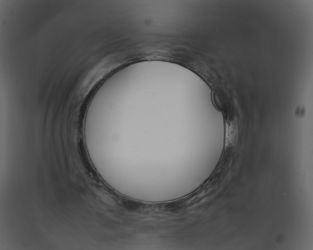 X0000092250291200710051305
