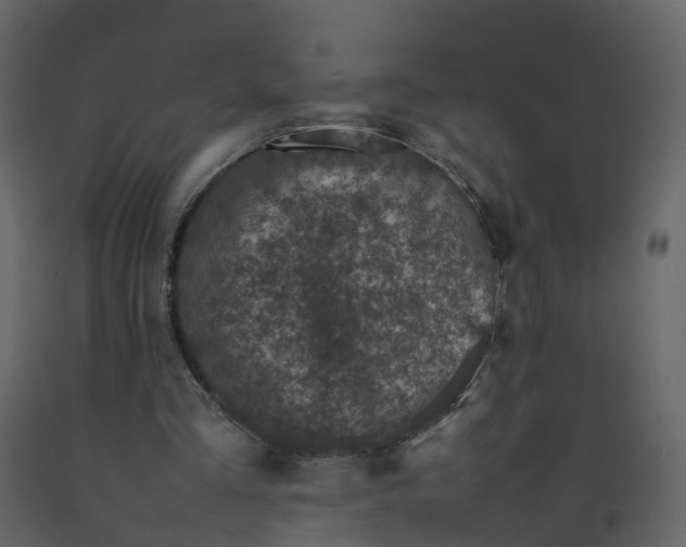X0000092250293200710051304